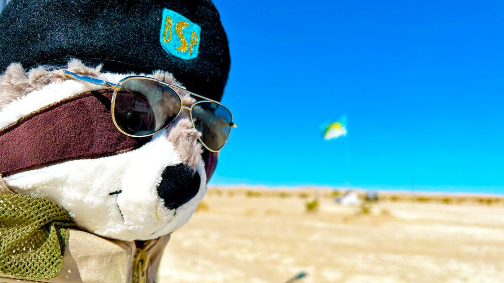 Paw Agent - Slowjamastanley